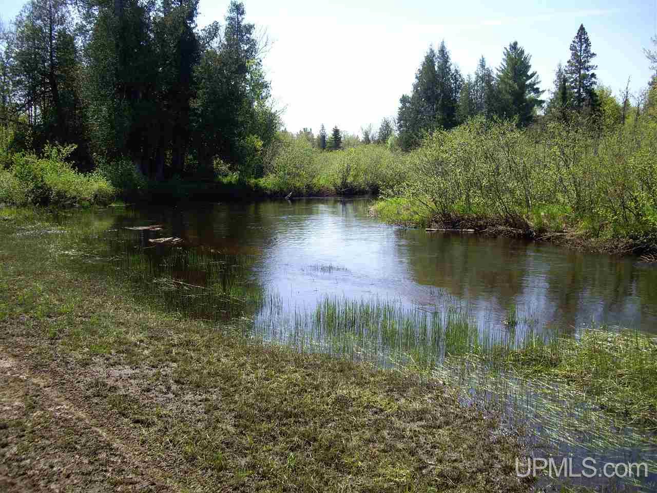 2020 West Federal Forest Road Shingleton, MI 49884 - Photo 15 of 23