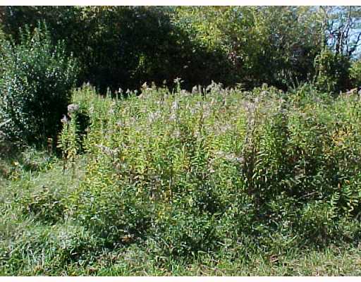 Land/Lot.