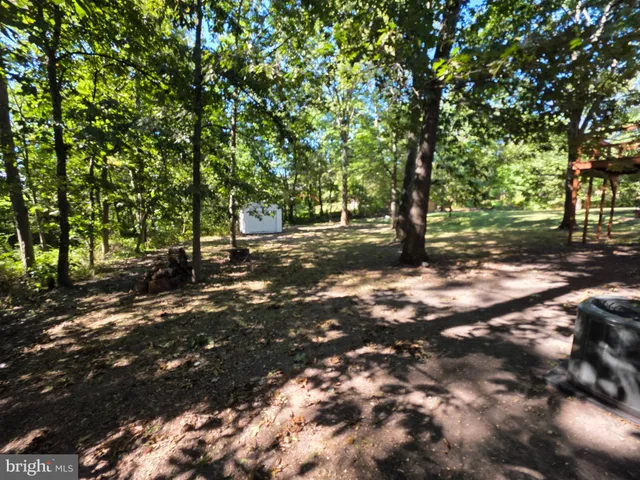 a view of a yard with plants and trees