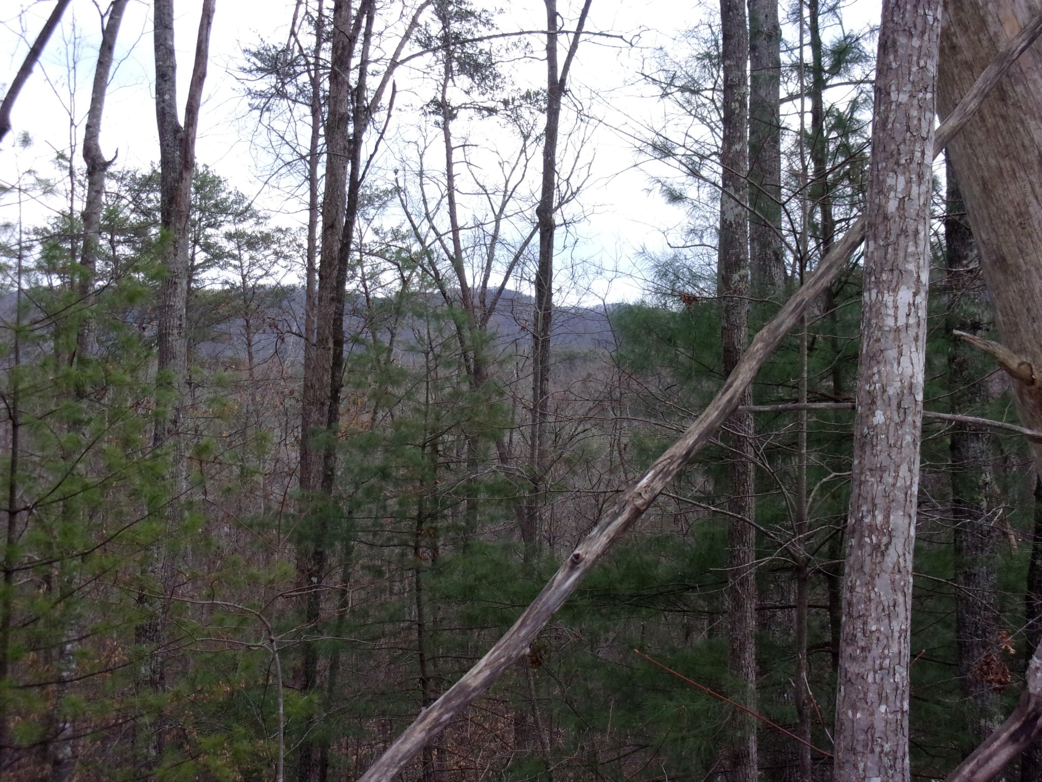 0 Jericho Road Maryville, TN 37803 - Photo 12 of 21 Gallery Image 12