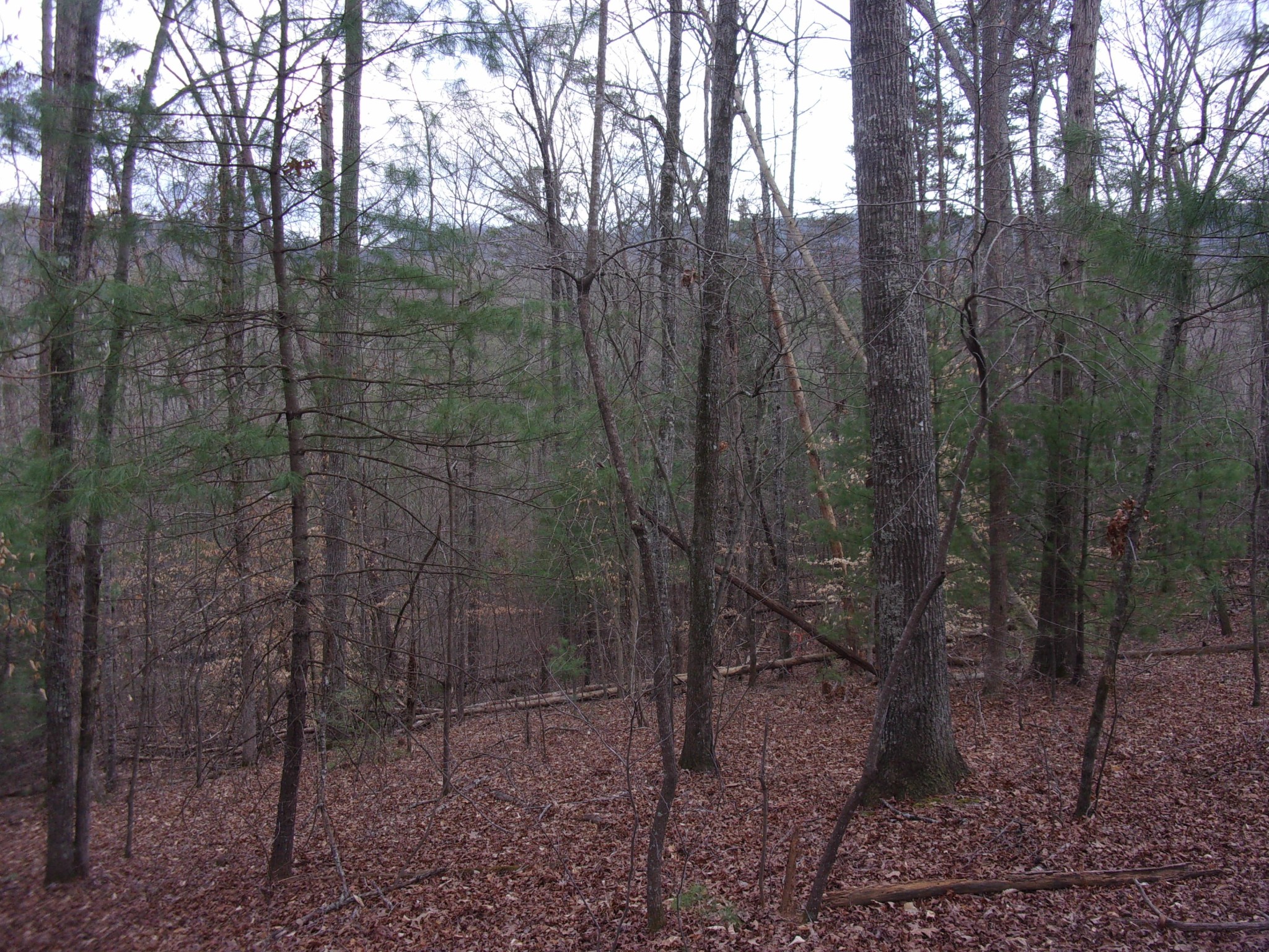 0 Jericho Road Maryville, TN 37803 - Photo 15 of 21 Gallery Image 15