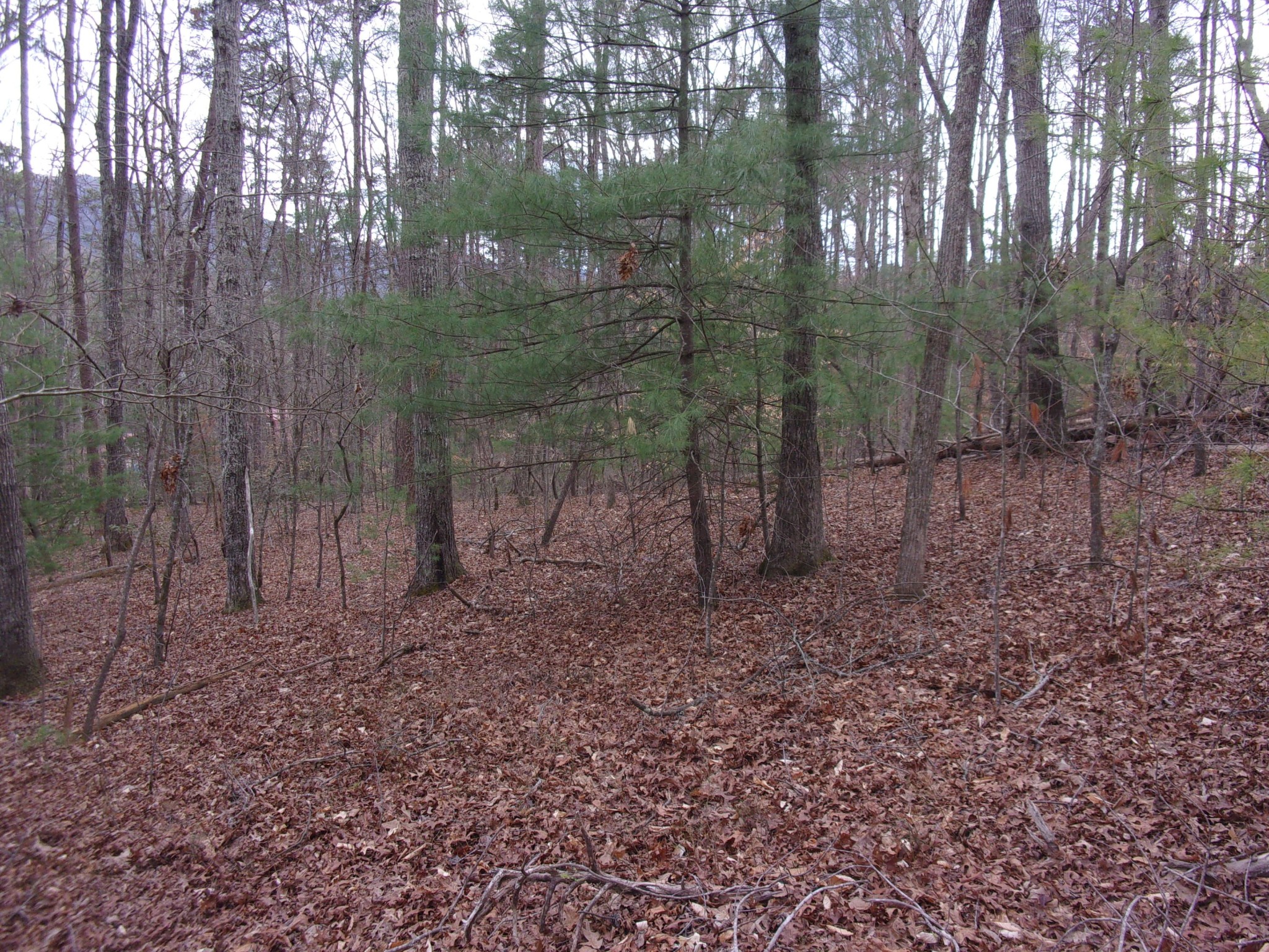 0 Jericho Road Maryville, TN 37803 - Photo 17 of 21 Gallery Image 17