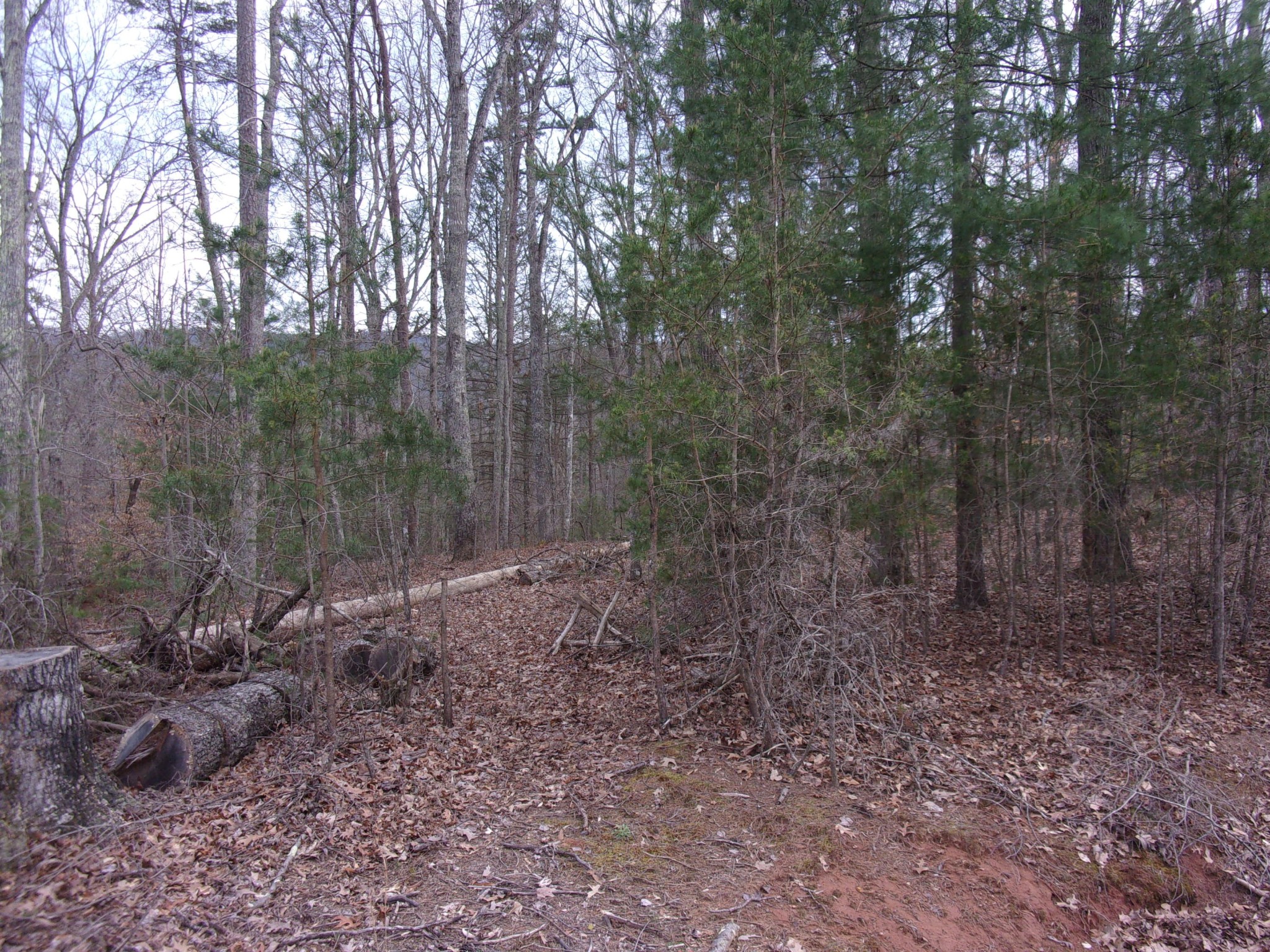 0 Jericho Road Maryville, TN 37803 - Photo 2 of 21 Gallery Image 2