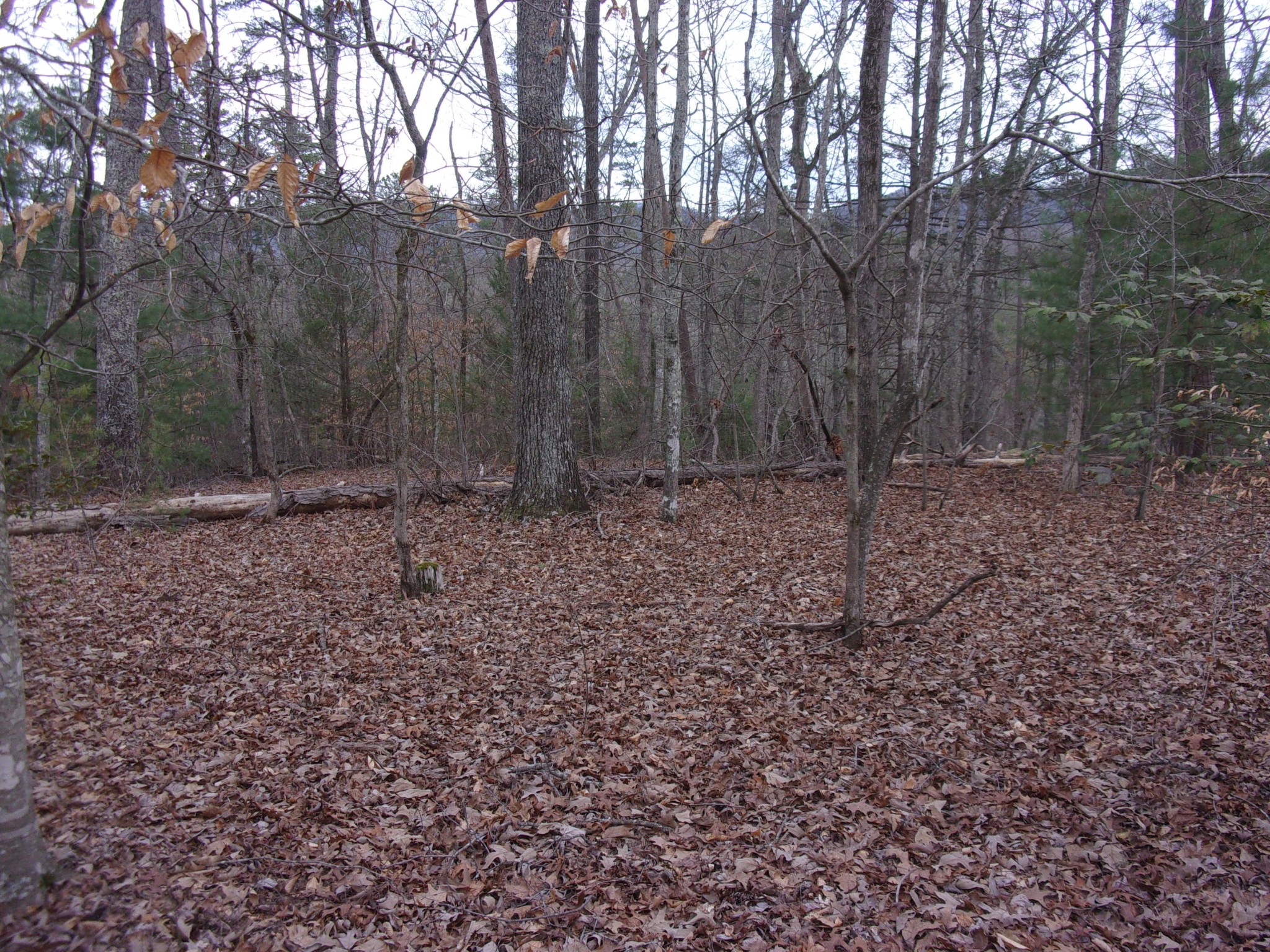 0 Jericho Road Maryville, TN 37803 - Photo 9 of 21 Gallery Image 9