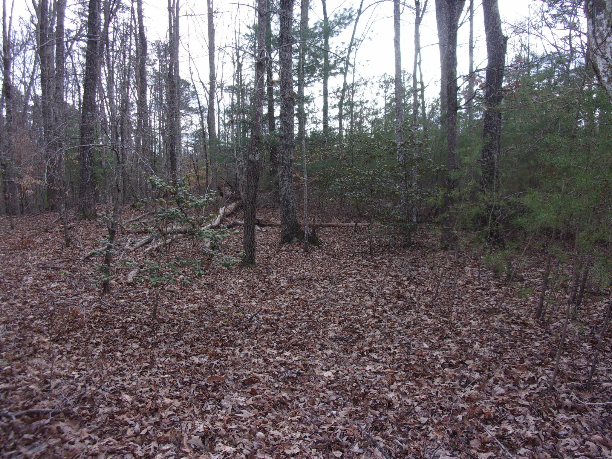0 Jericho Road Maryville, TN 37803 - Photo 10 of 21 Gallery Image 10