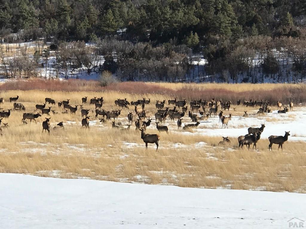 3 B Majors Ranch Road Walsenburg, CO 81089 - Photo 17 of 54