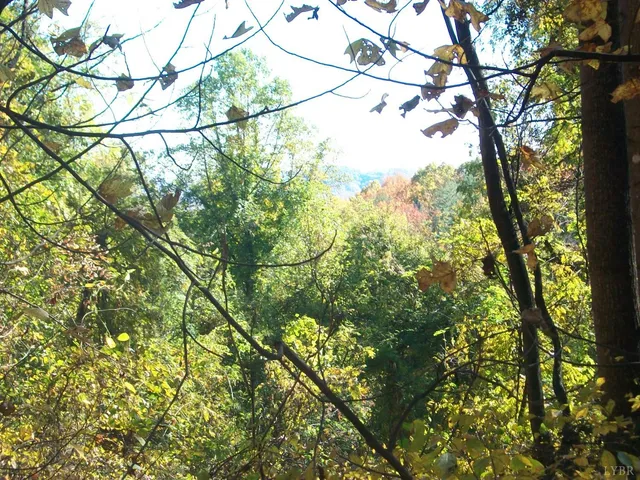 $2,450,000 | 0 Old Stoney Creek, Roseland, VA 22958