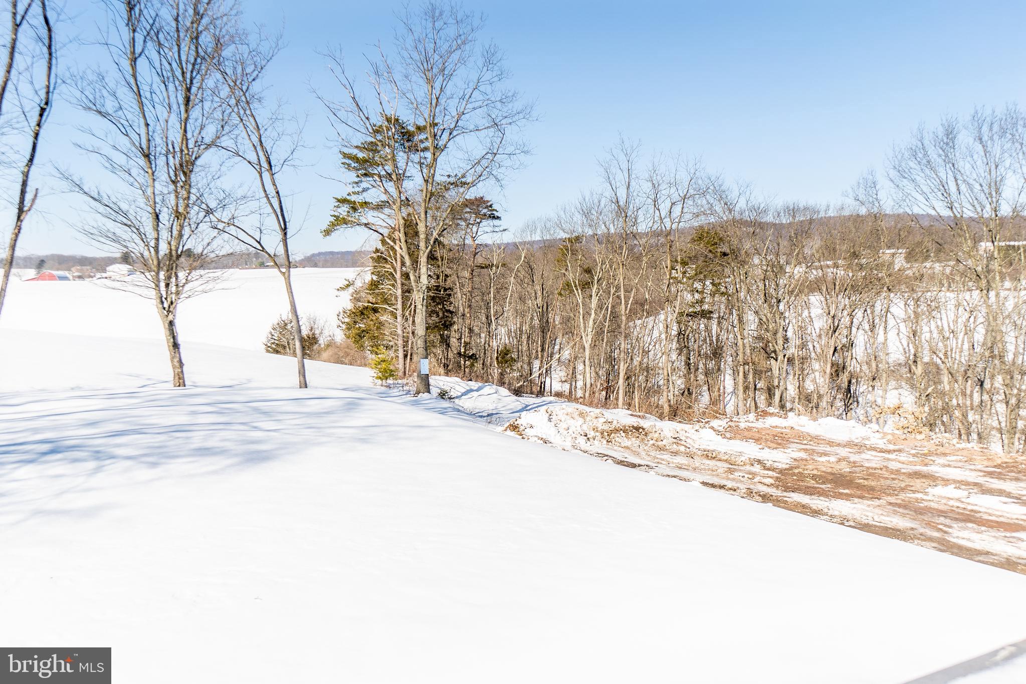 123 Huggins Road Duncannon, PA 17020 - Photo 4 of 59 Gallery Image 4