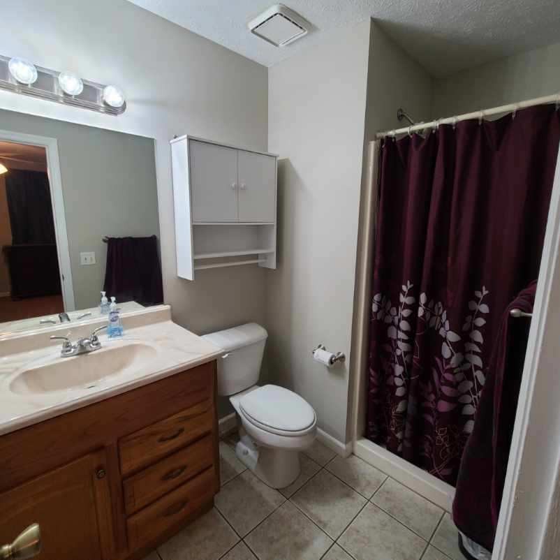 1749 Carney Winters Road Ashland City, TN 37015 - Photo 18 of 27 a bathroom with a sink a toilet a mirror and shower