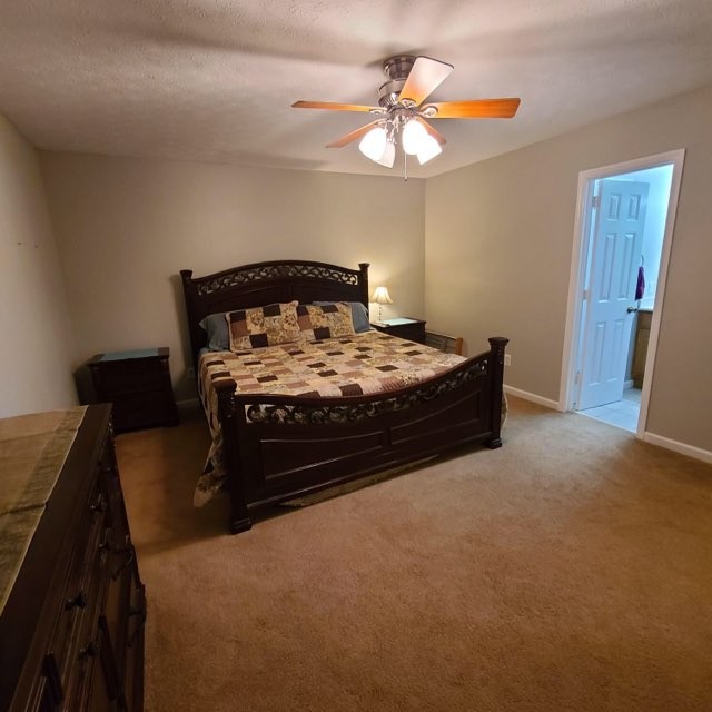 1749 Carney Winters Road Ashland City, TN 37015 - Photo 10 of 27 a bedroom with a bed and a chandelier