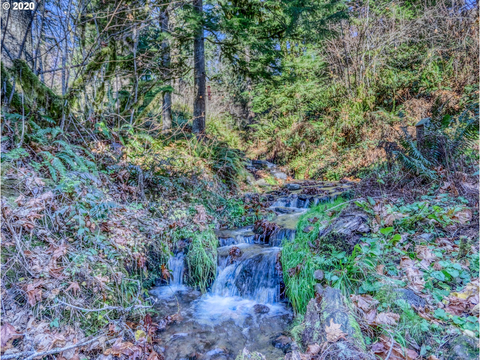 66525 East Barlow Trail Road Rhododendron, OR 97049 - Photo 4 of 32