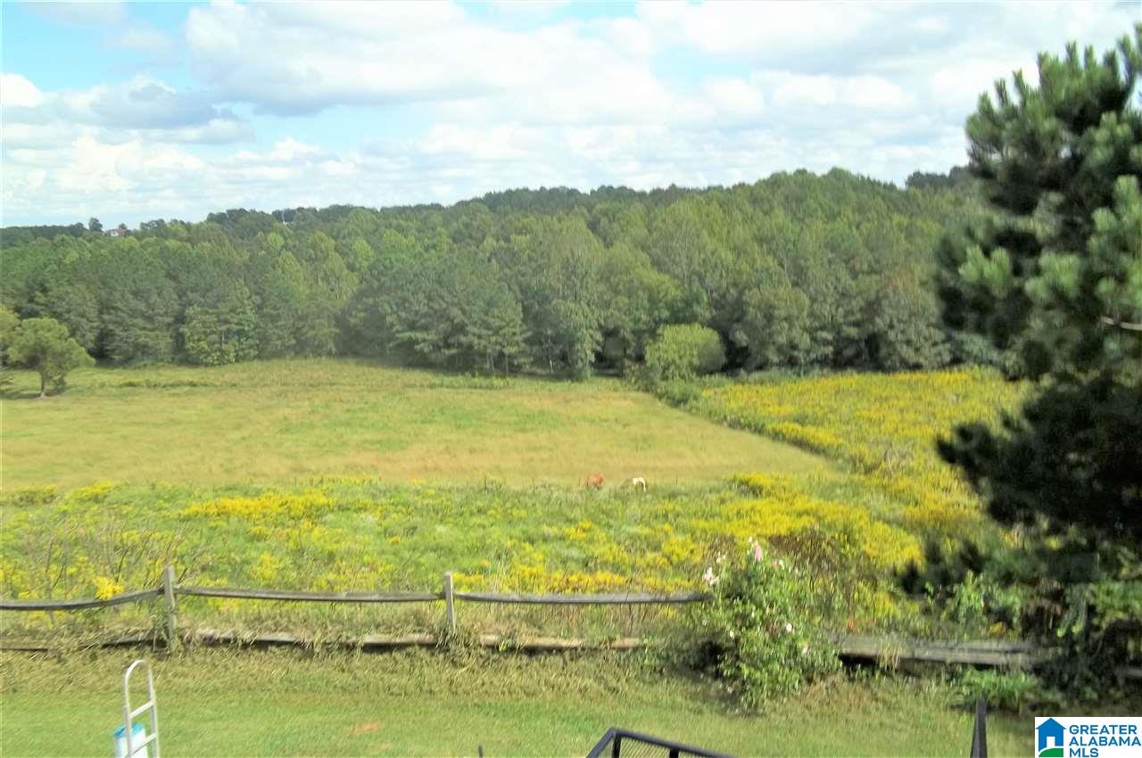 1131 Jones Chapel Loop Springville, AL 35146 - Photo 14 of 31
