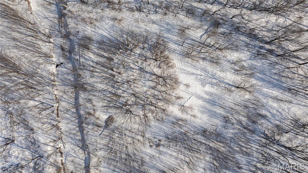 0 Hagaman Road Chesterfield, IL 62630 - Photo 11 of 12