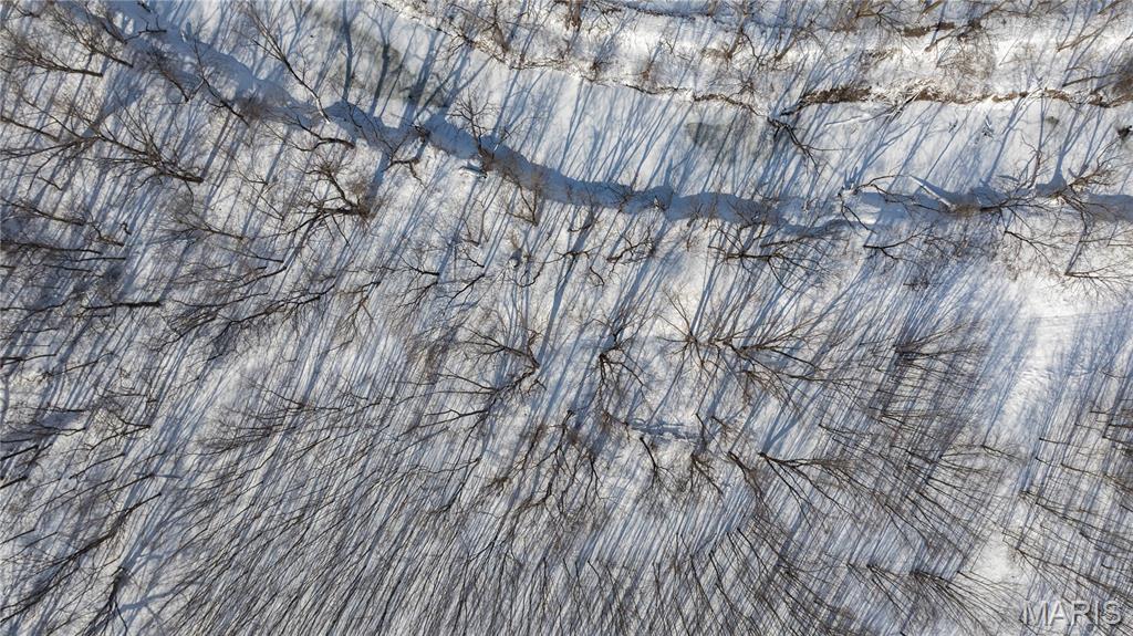 0 Hagaman Road Chesterfield, IL 62630 - Photo 12 of 12