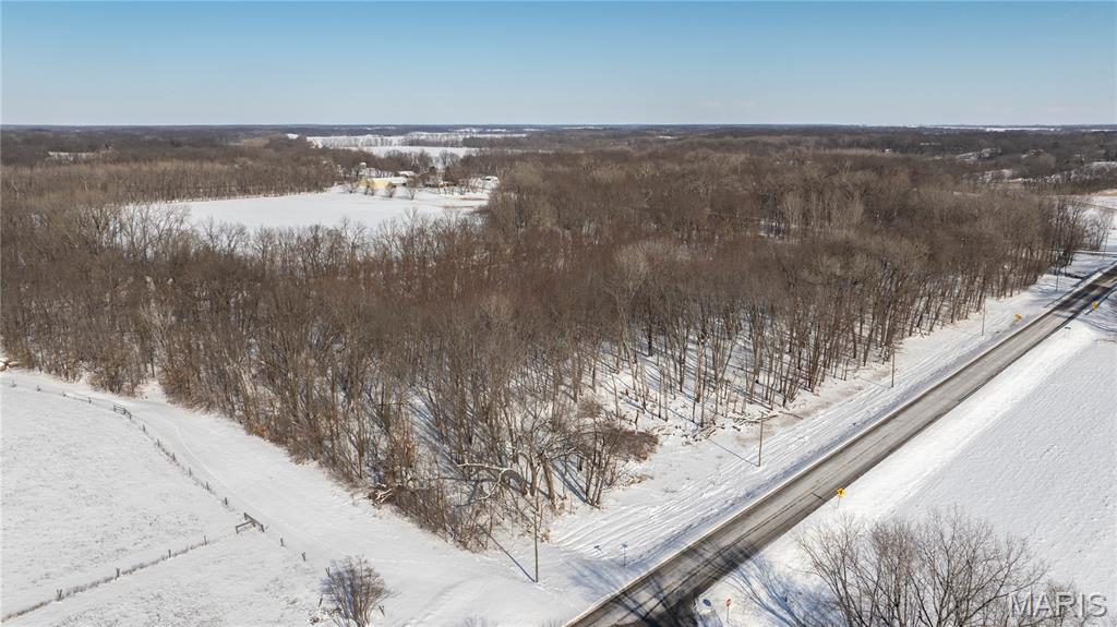 0 Hagaman Road Chesterfield, IL 62630 - Photo 3 of 12