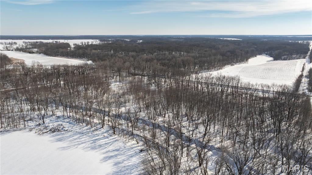 0 Hagaman Road Chesterfield, IL 62630 - Photo 4 of 12