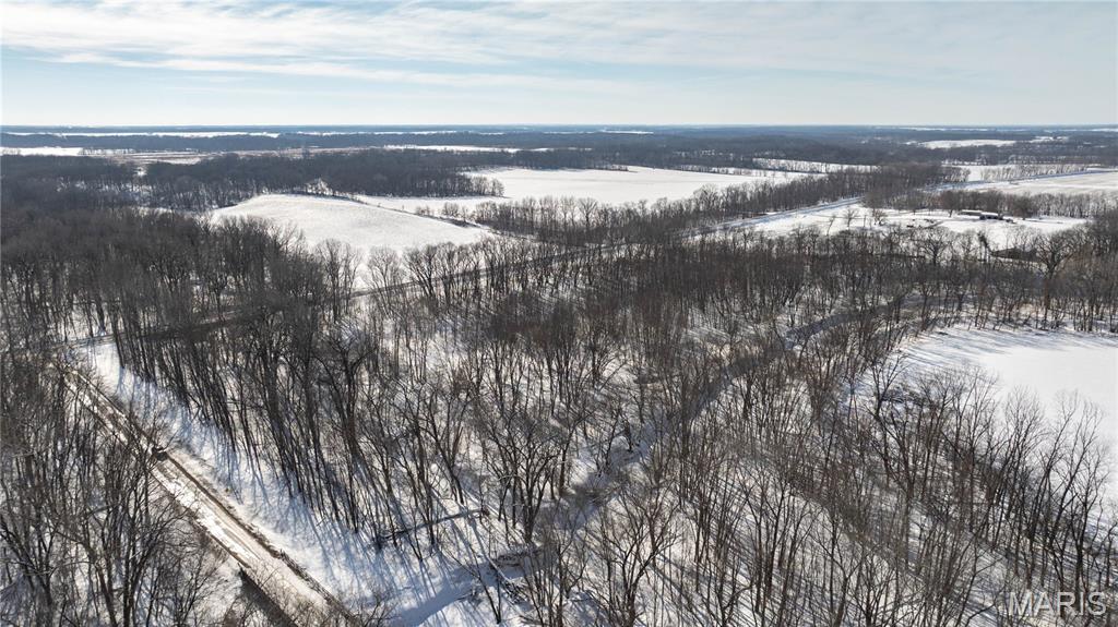 0 Hagaman Road Chesterfield, IL 62630 - Photo 5 of 12