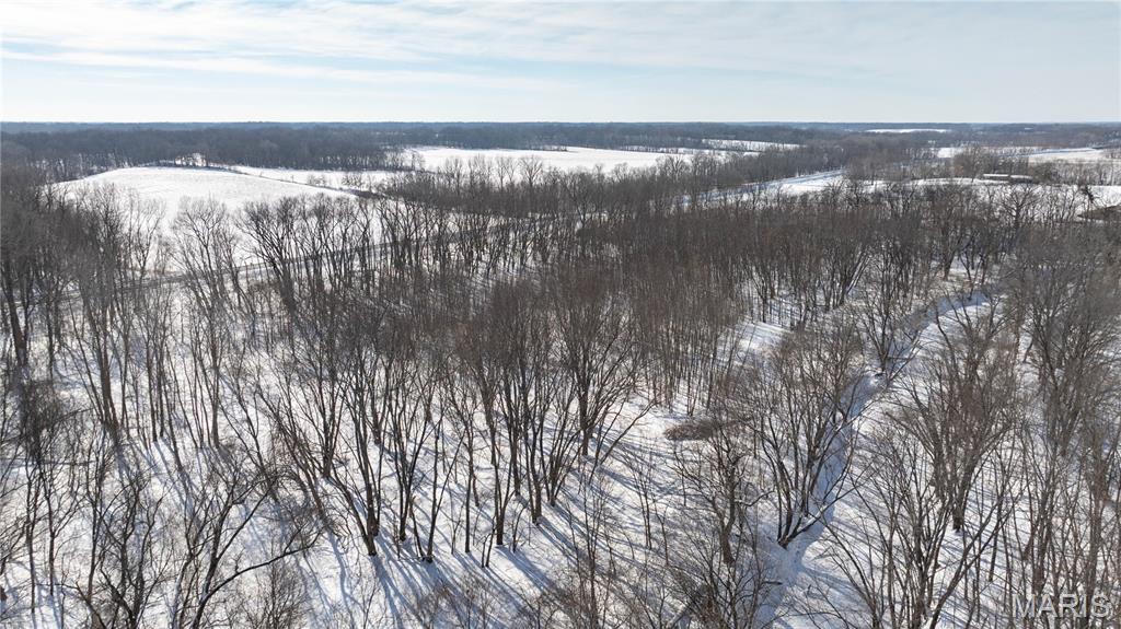 0 Hagaman Road Chesterfield, IL 62630 - Photo 6 of 12