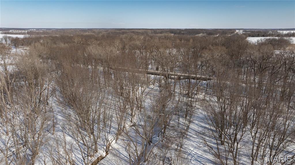 0 Hagaman Road Chesterfield, IL 62630 - Photo 8 of 12