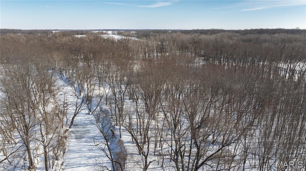 0 Hagaman Road Chesterfield, IL 62630 - Photo 9 of 12