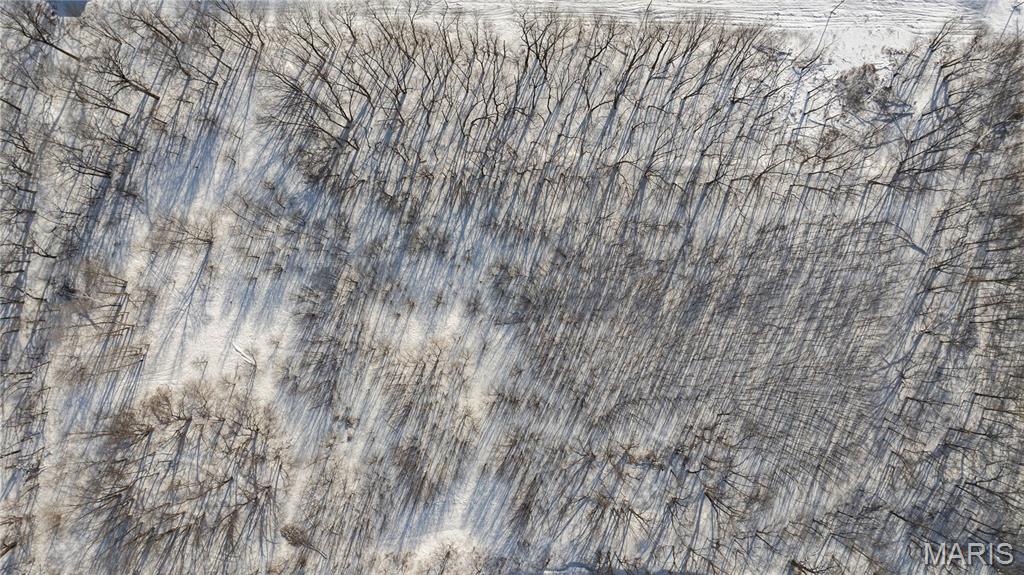 0 Hagaman Road Chesterfield, IL 62630 - Photo 10 of 12