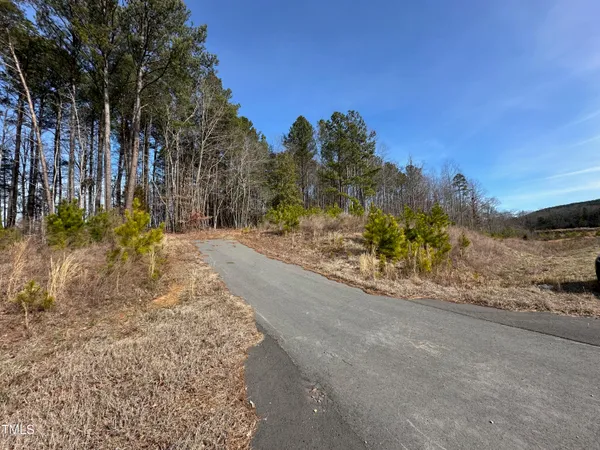 a view of a yard with plants and trees