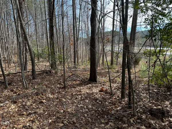 a view of a yard with lots of trees