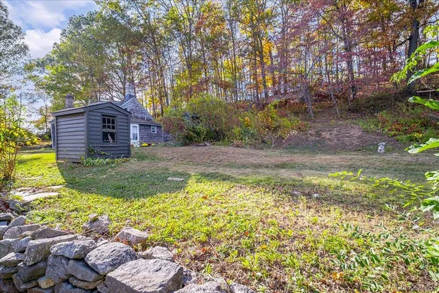 a view of a large garden with plants and large trees