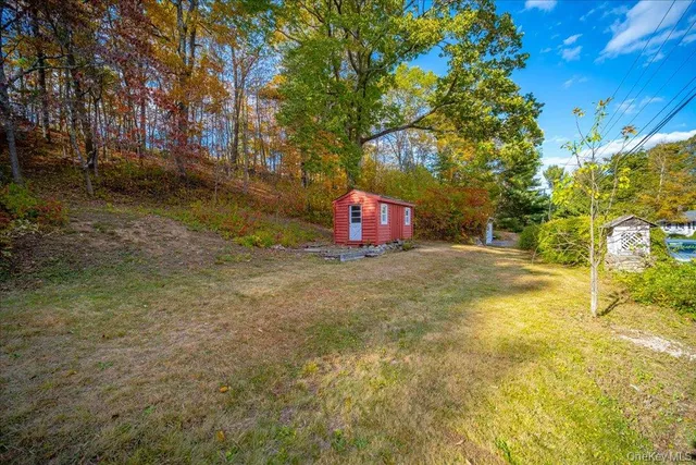 a street view with large trees