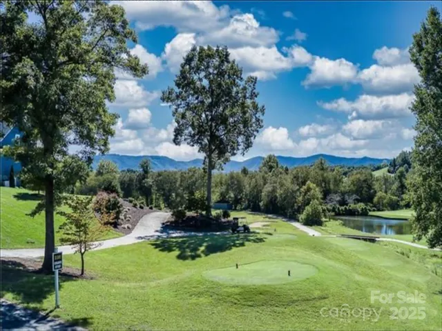 a view of a park with large trees