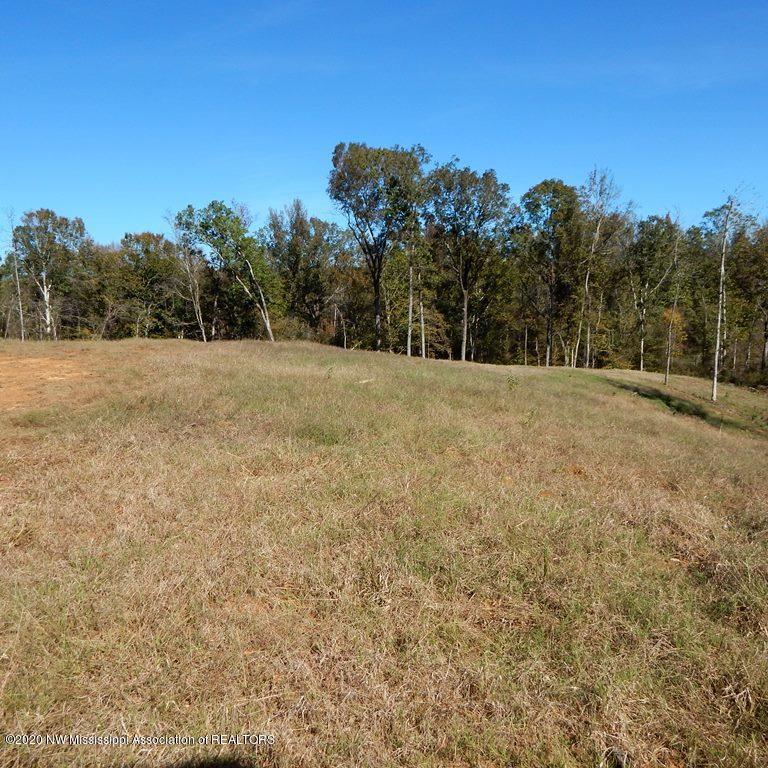 6426 Pea Ridge Road Grenada, MS 38901 - Photo 1 of 28
