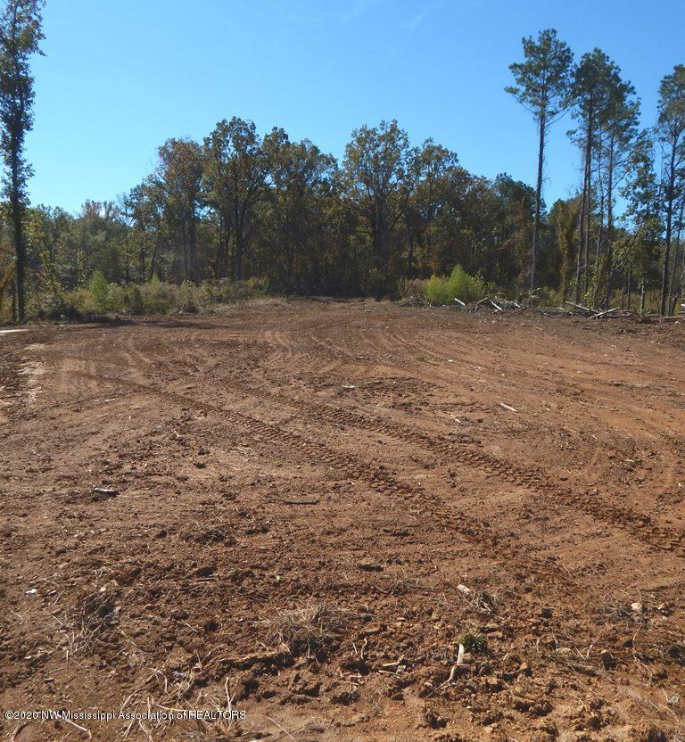 6426 Pea Ridge Road Grenada, MS 38901 - Photo 12 of 28