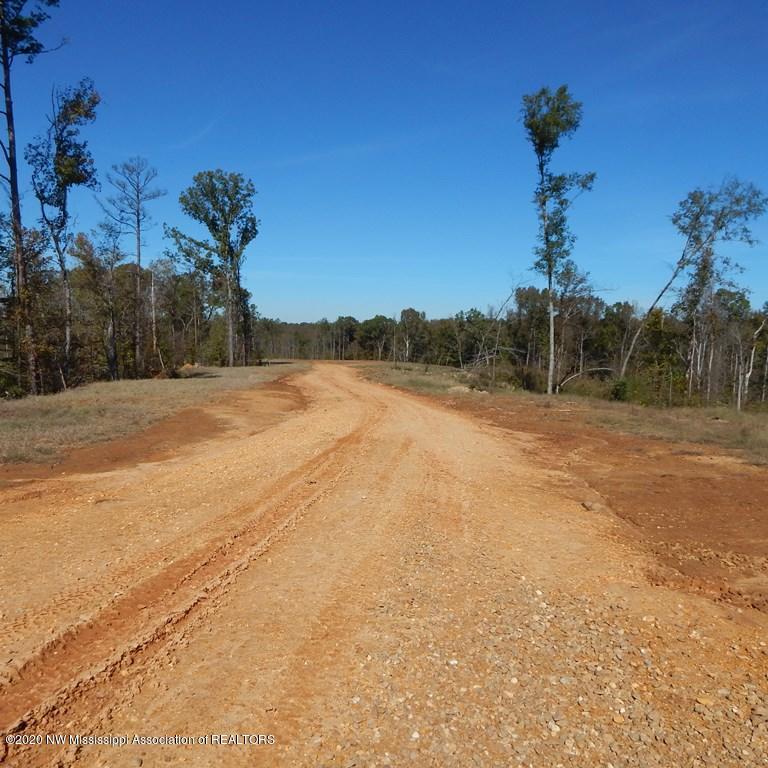 6426 Pea Ridge Road Grenada, MS 38901 - Photo 3 of 28