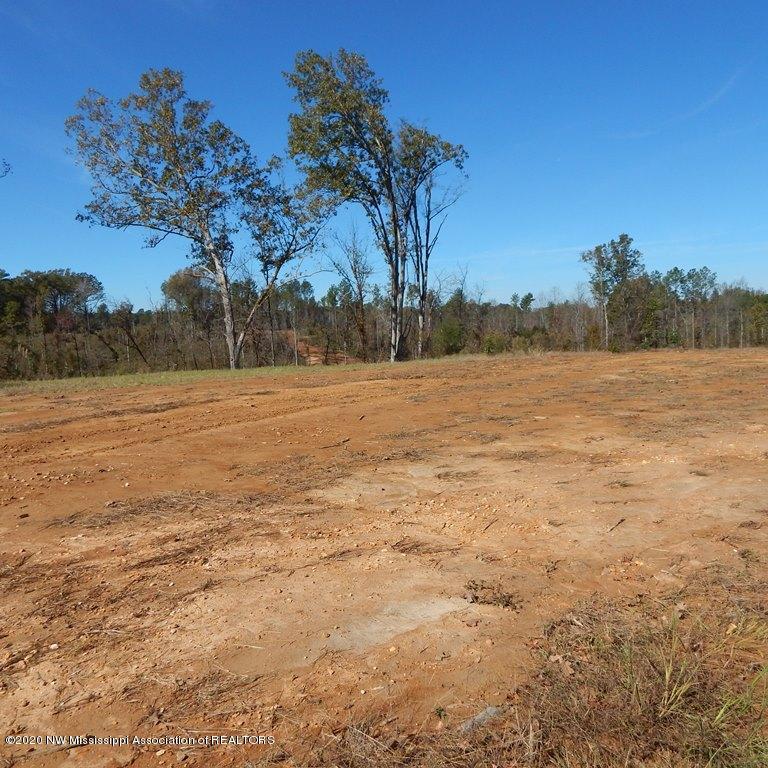 6426 Pea Ridge Road Grenada, MS 38901 - Photo 5 of 28