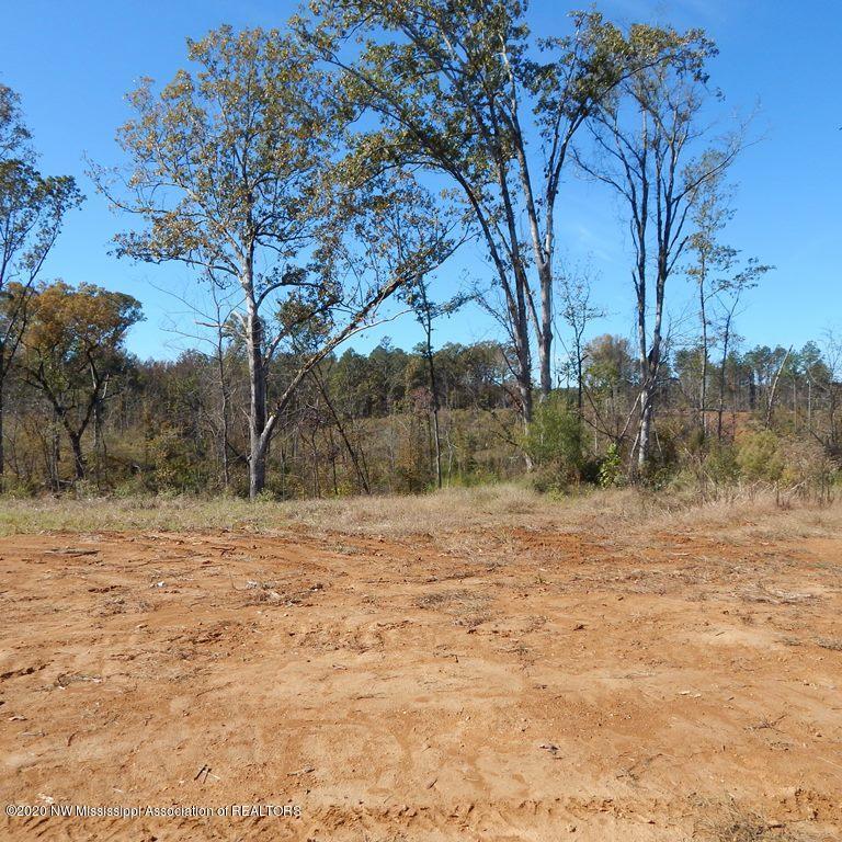 6426 Pea Ridge Road Grenada, MS 38901 - Photo 8 of 28