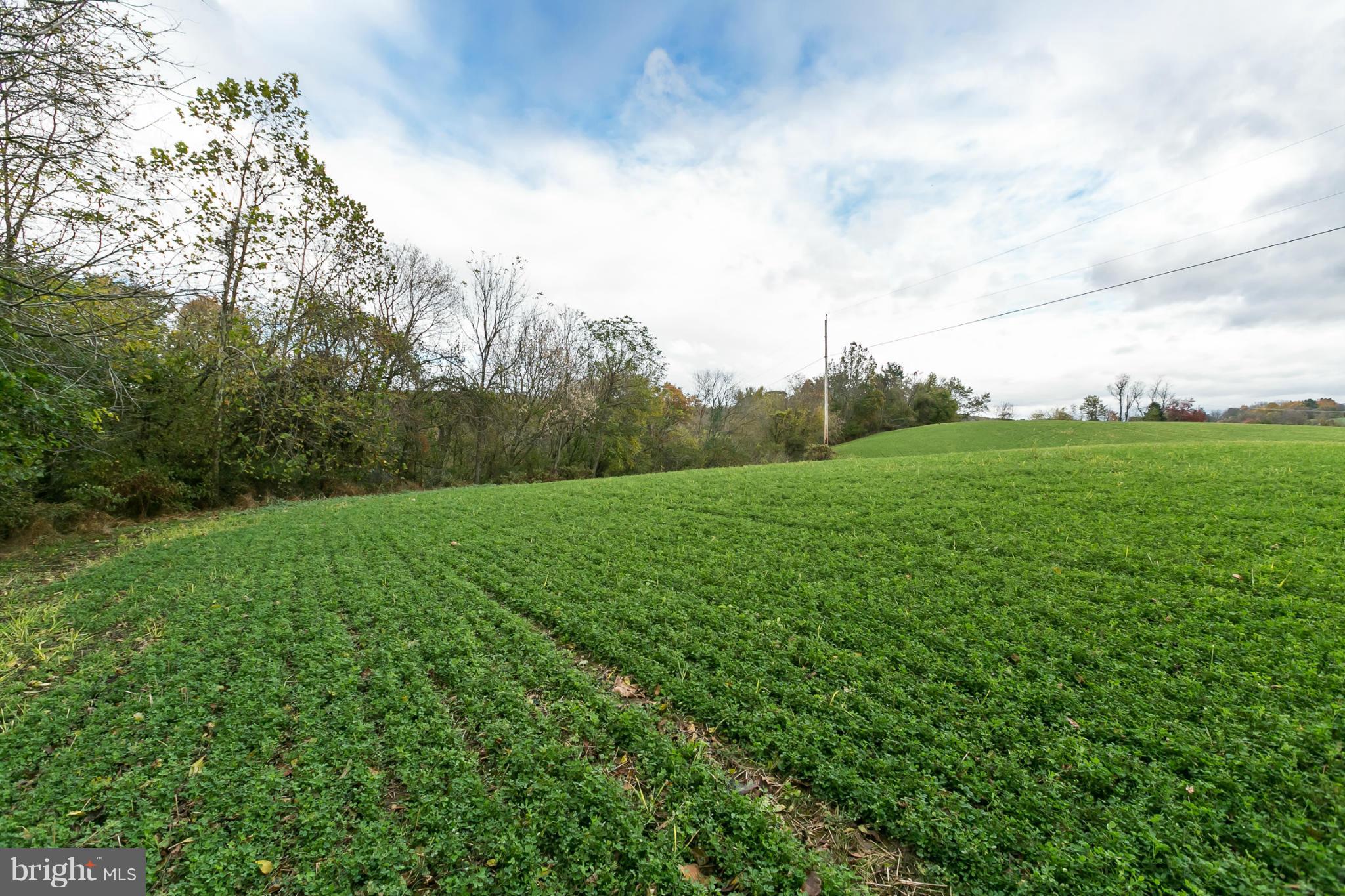 1317 Western Run Road Cockeysville, MD 21030 - Photo 12 of 22 View