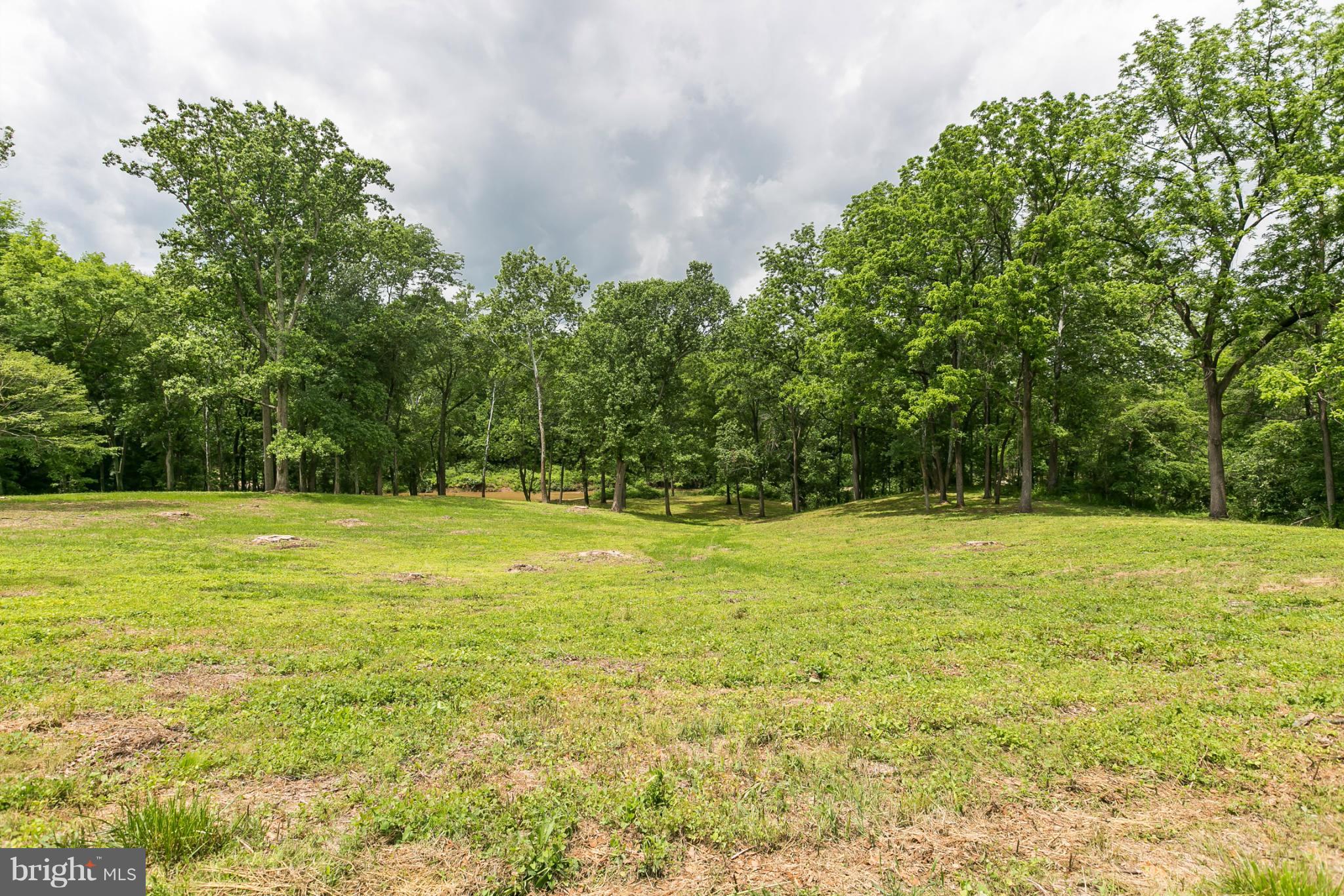 1317 Western Run Road Cockeysville, MD 21030 - Photo 13 of 22 View