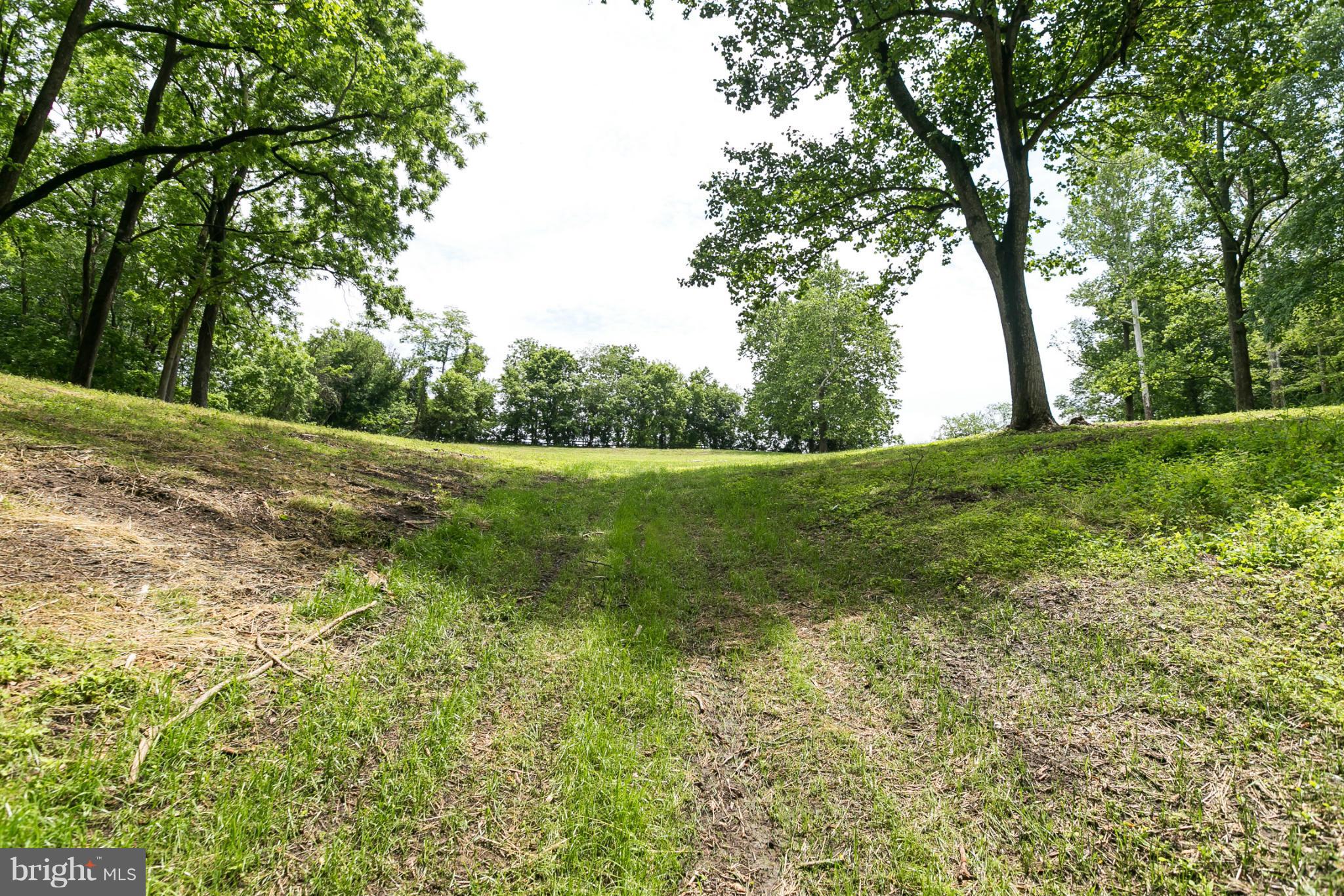 1317 Western Run Road Cockeysville, MD 21030 - Photo 15 of 22 View