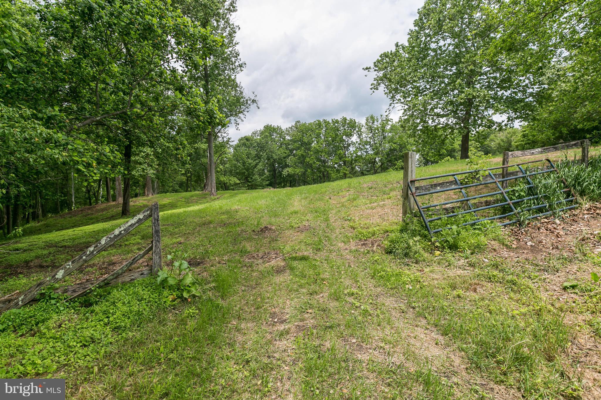 1317 Western Run Road Cockeysville, MD 21030 - Photo 19 of 22 View