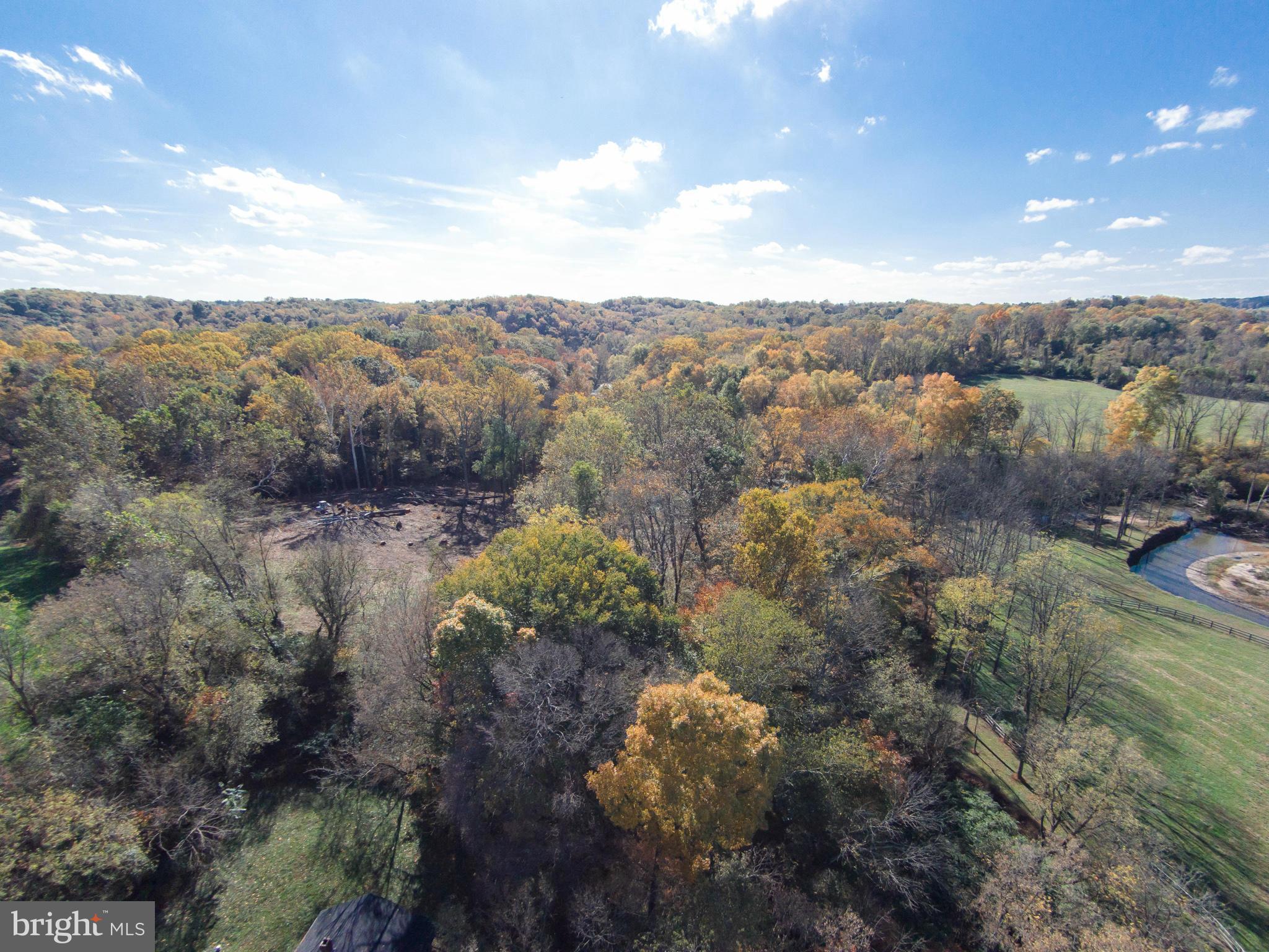 1317 Western Run Road Cockeysville, MD 21030 - Photo 22 of 22 View
