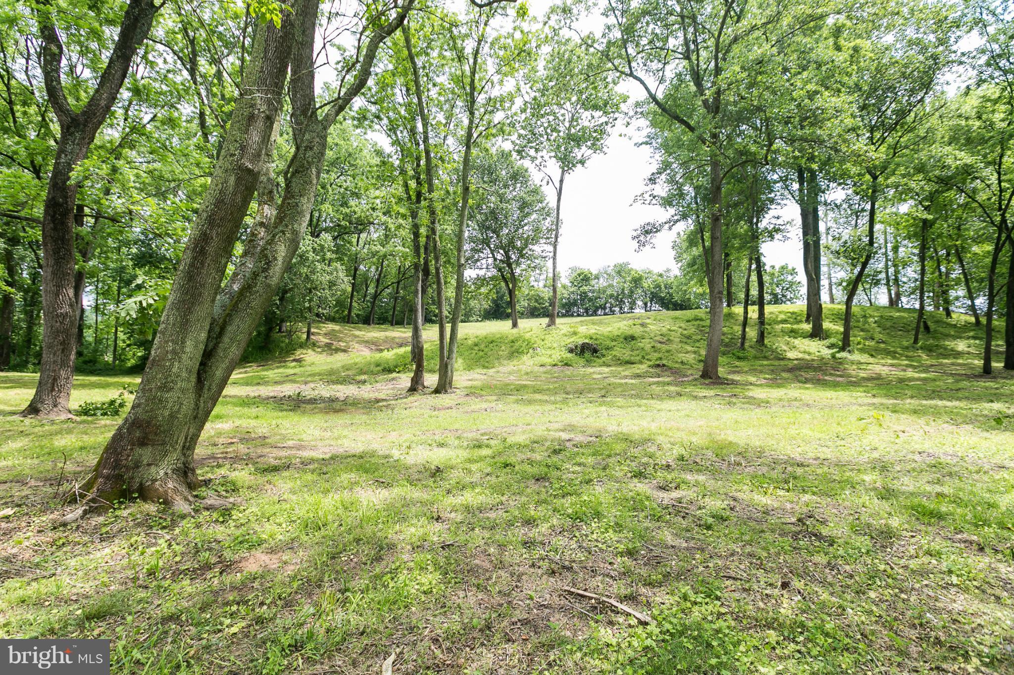 1317 Western Run Road Cockeysville, MD 21030 - Photo 5 of 22 View