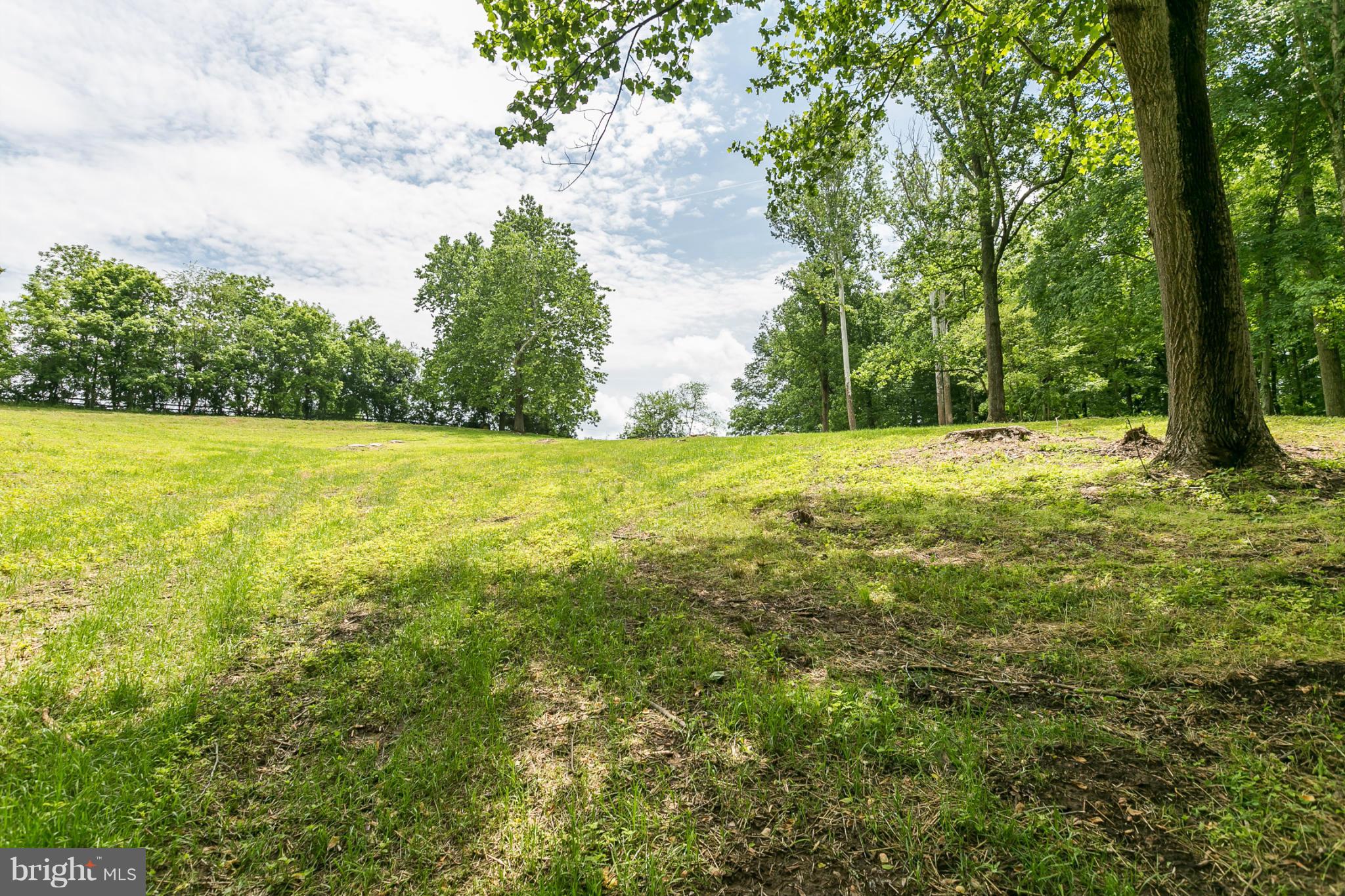 1317 Western Run Road Cockeysville, MD 21030 - Photo 6 of 22 View