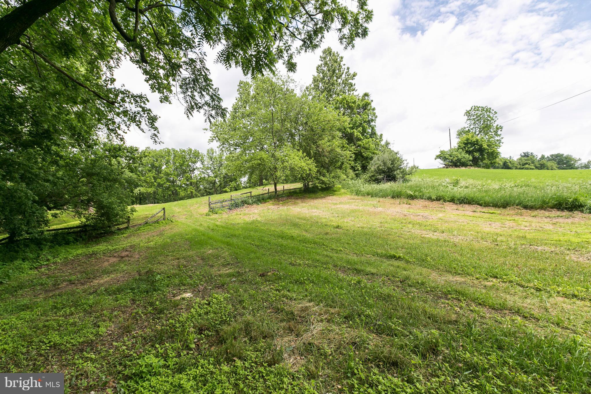 1317 Western Run Road Cockeysville, MD 21030 - Photo 7 of 22 View