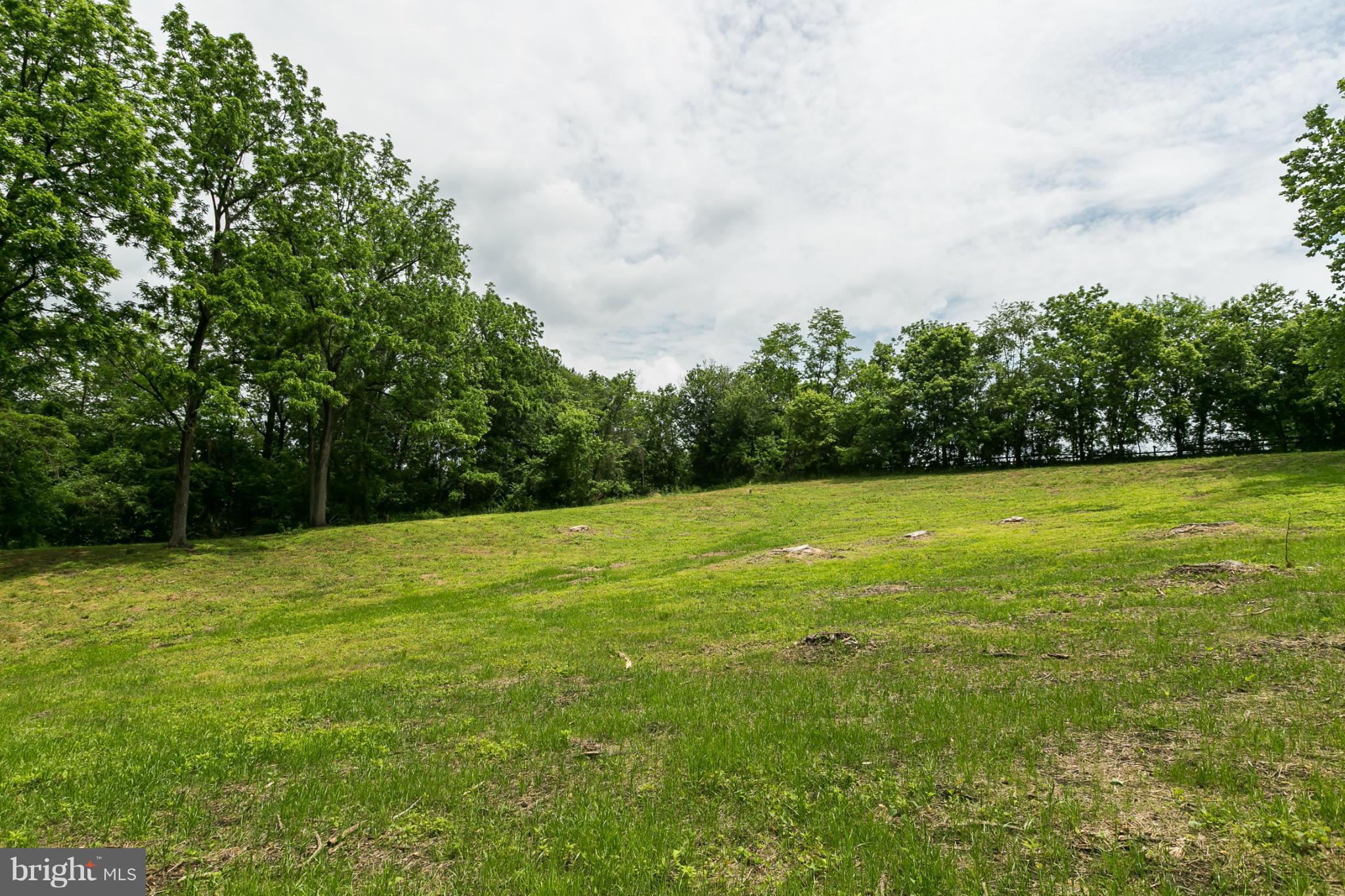 1317 Western Run Road Cockeysville, MD 21030 - Photo 8 of 22 View
