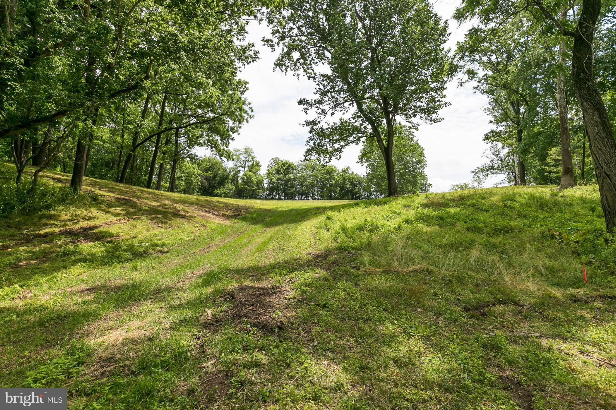 1317 Western Run Road Cockeysville, MD 21030 - Photo 9 of 22 View