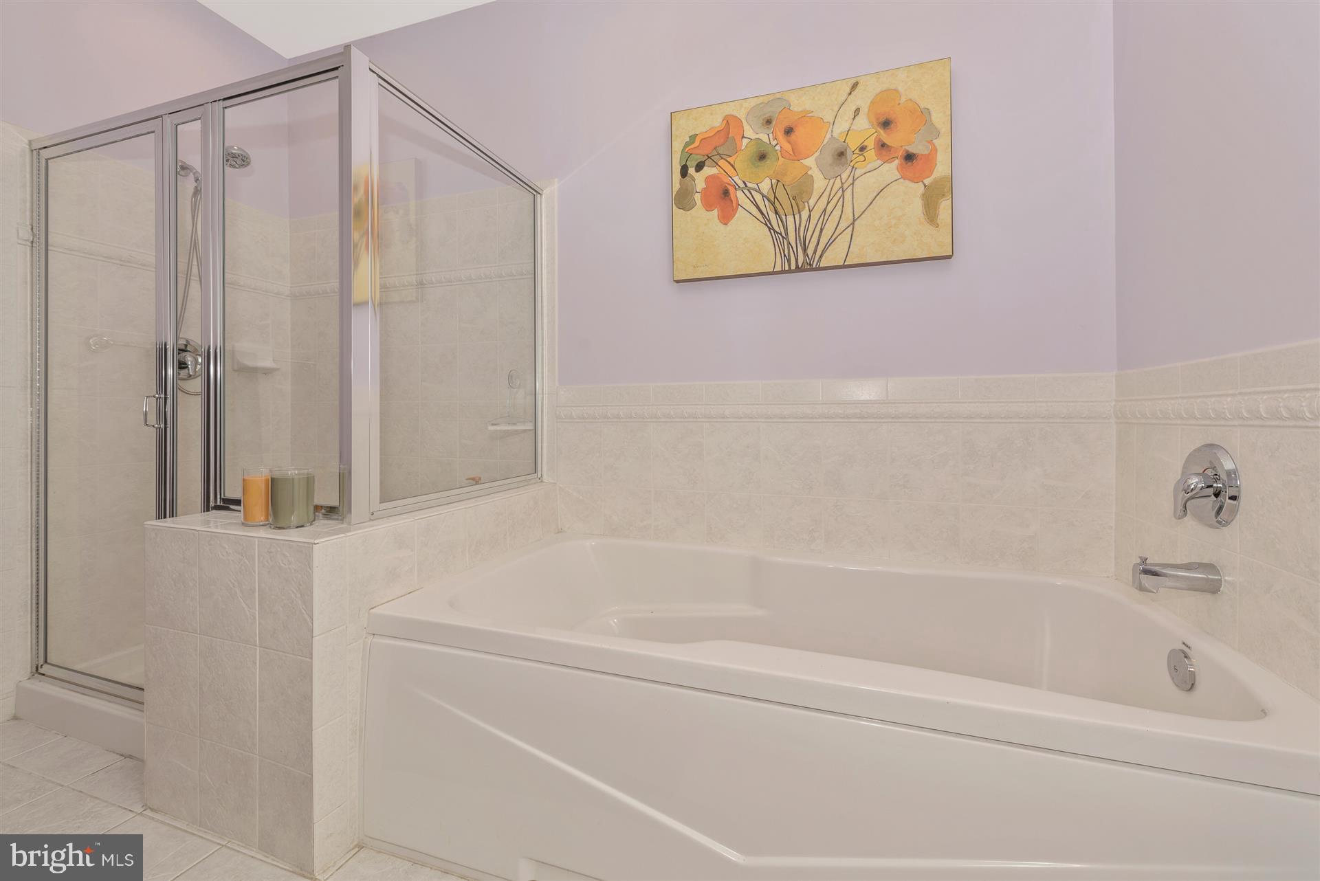 2630 Monocacy Ford Road Frederick, MD 21701 - Photo 23 of 40 Master Bathroom