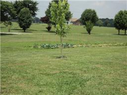6771 Lovel Cook Road Springfield, TN 37172 - Photo 18 of 18 a view of a field with trees