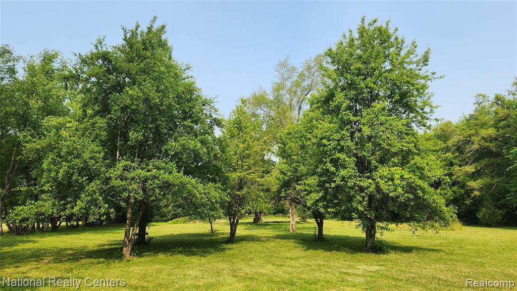 13780 Farm Road Belleville, MI 48111 - Photo 48 of 64