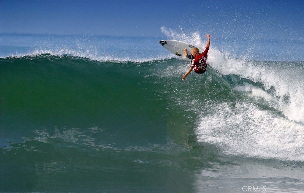 34882 Doheny Place Dana Point, CA 92624 - Photo 36 of 42 a view of yard