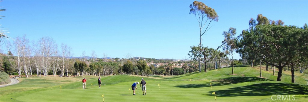 34882 Doheny Place Dana Point, CA 92624 - Photo 40 of 42 a view of a park